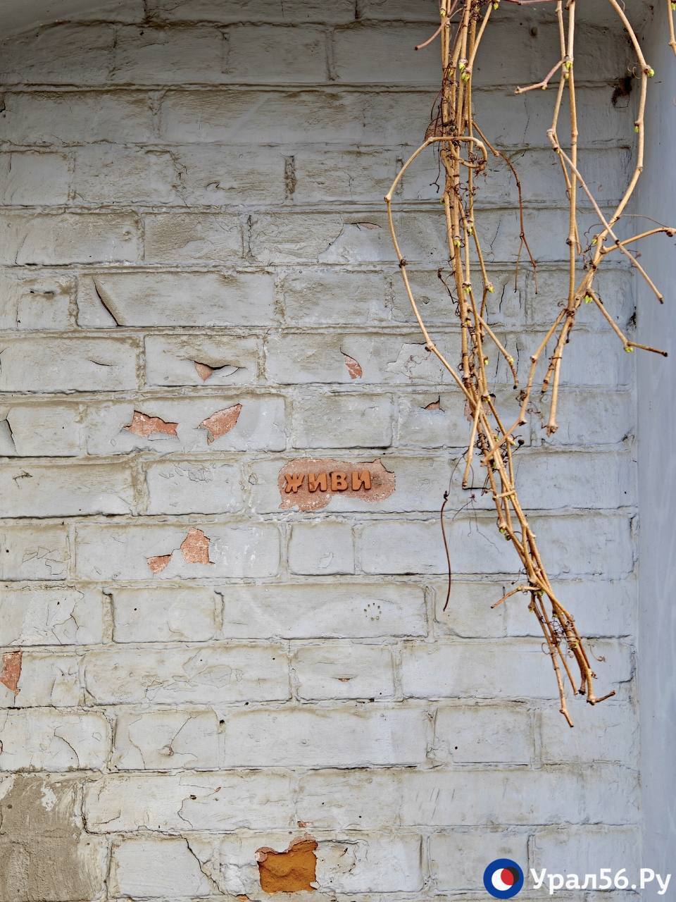 Апрельское воскресенье в Оренбурге Апрельское воскресенье в Оренбурге