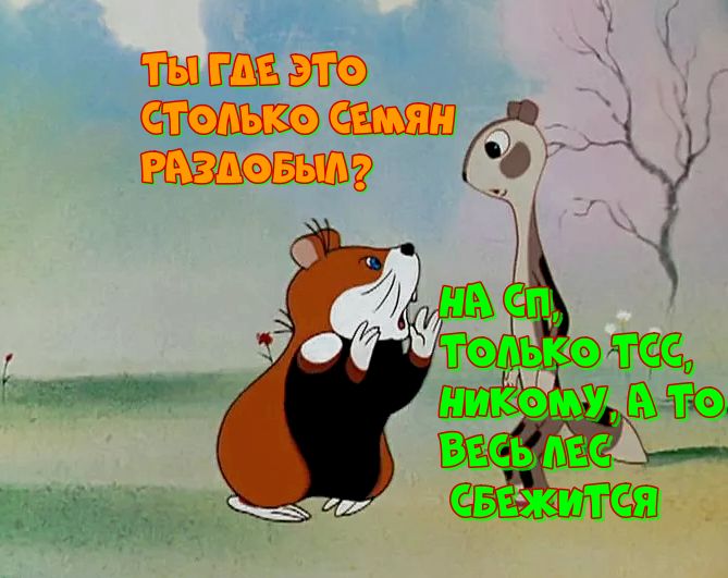 ��� savvy �������� �������� �� �������: ����������� �������