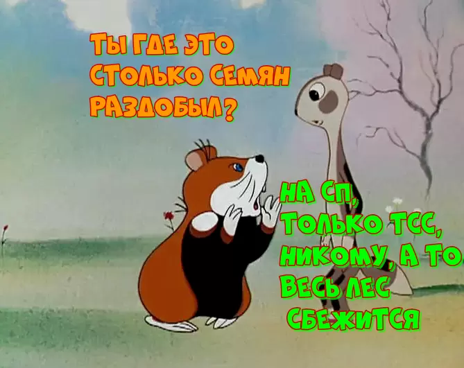 Как savvy садоводы экономят на семенах: проверенные способы