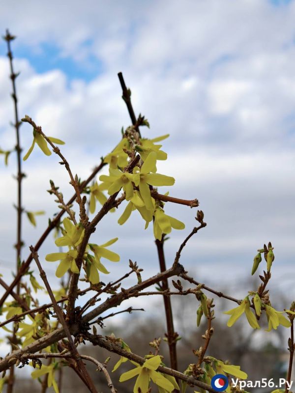 ���������� ����������� � ���������