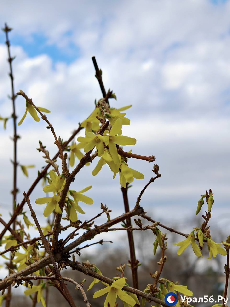 Апрельское воскресенье в Оренбурге