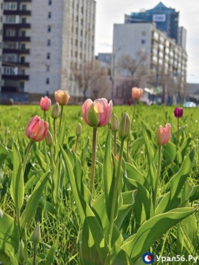 � ��������� ������� ������ ��������