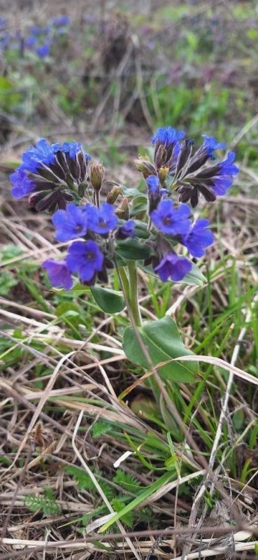 �� -2 �� +26 ��������: ������ ������ ������� ������������ ������� �� ���� ������