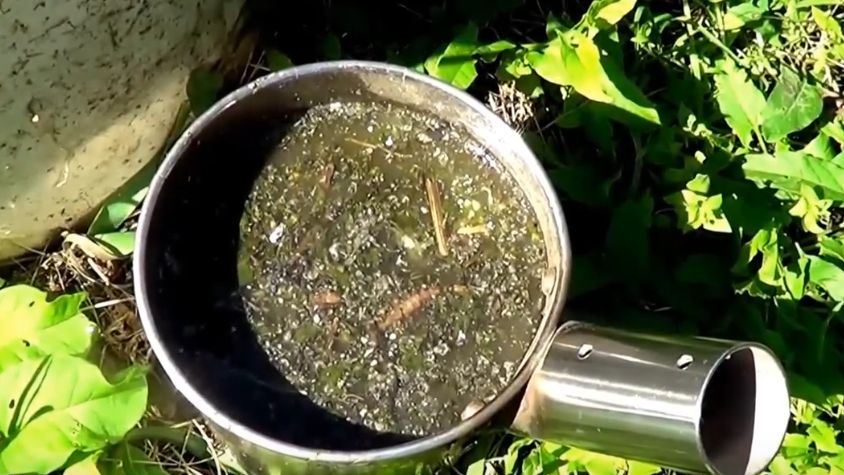 ���� � ������� ���������: ��������� ���������� � ����������� ������