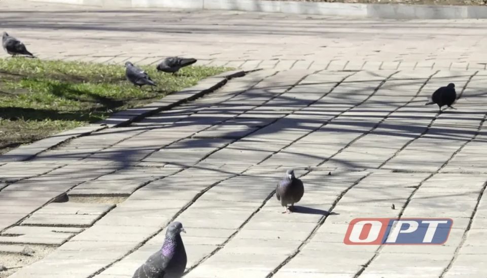 ��� �� ���� ��������� ���������� ��������� ������� � ������� ������ �����