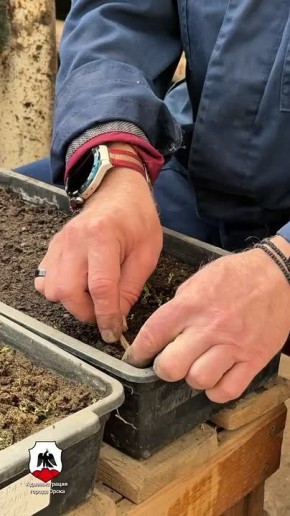 � ��������� ����� ����������