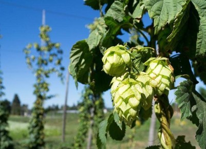 ������ ����� ������������ ����������� ������ �������