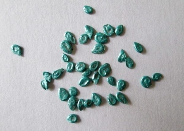 ��� ��������� ����������� ������ ������� � ������: ������� ������