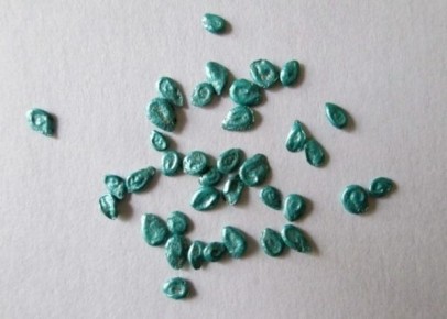 ��� ��������� ����������� ������ ������� � ������: ������� ������