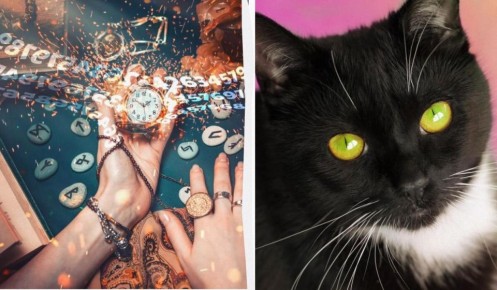 ��� ������� ��������� ����� �� ���� ��������: ������ �� �����������