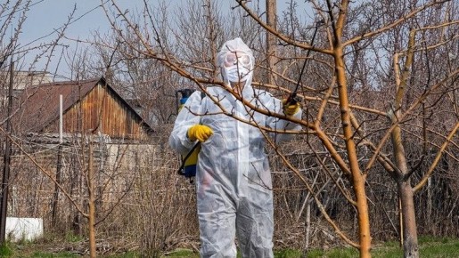 ������� ��������� ������: ���� � ��������� ���� � �������� ������