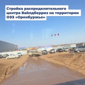 ������� ������������������ ������ Wildberries � ��� ����������� � ��� �������� ������