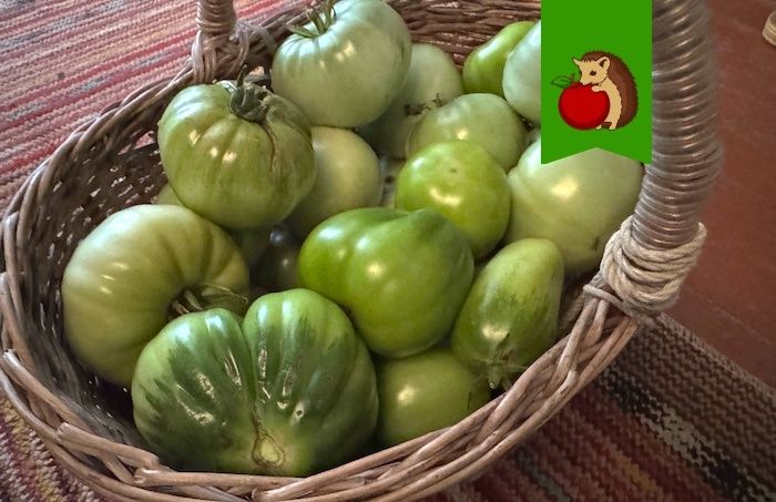 ��� ������������ ������� ��������: ��������� ������� � ����