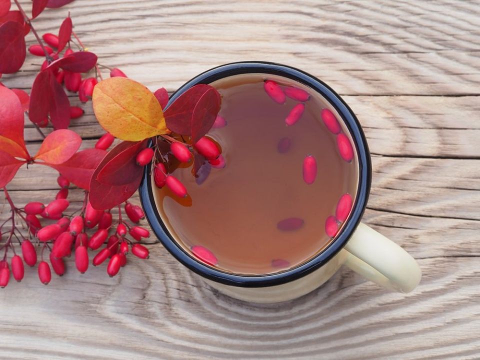 ������ ����������: ������ ��� ������ ���� � �������