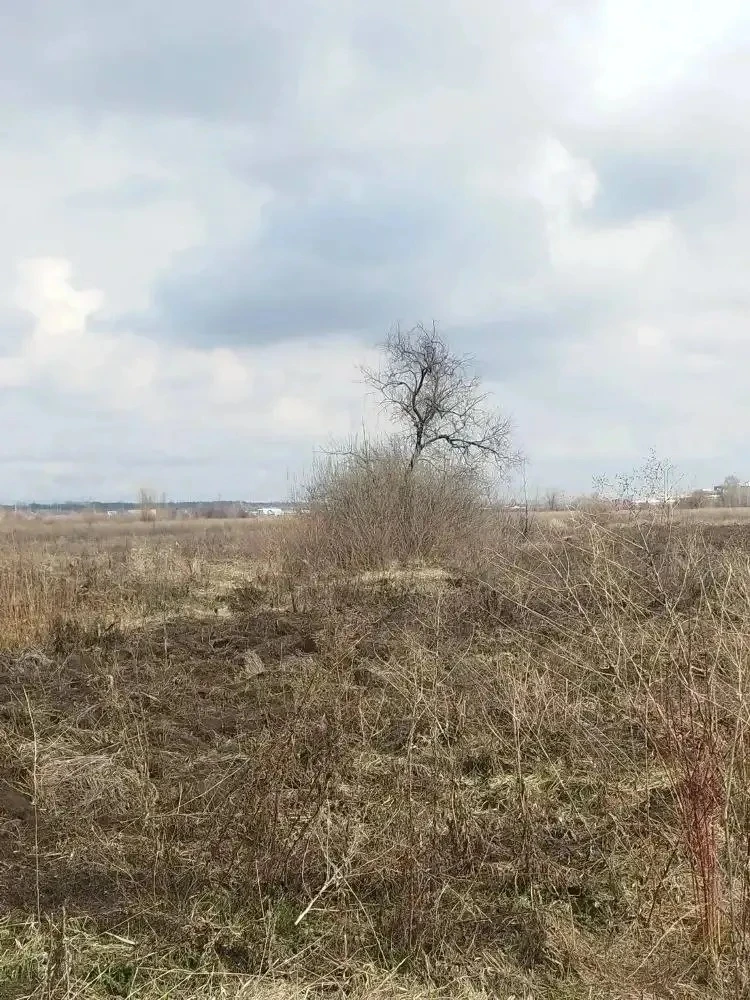 В Оренбурге нашли боевую гранату в районе СНТ «Дубовый плес» В Оренбурге нашли боевую гранату в районе СНТ «Дубовый плес»