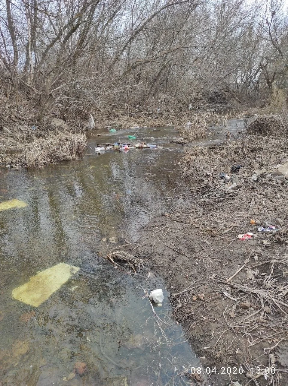 Жители Бузулука пожаловались на загрязнение реки Домашки Жители Бузулука пожаловались на загрязнение реки Домашки