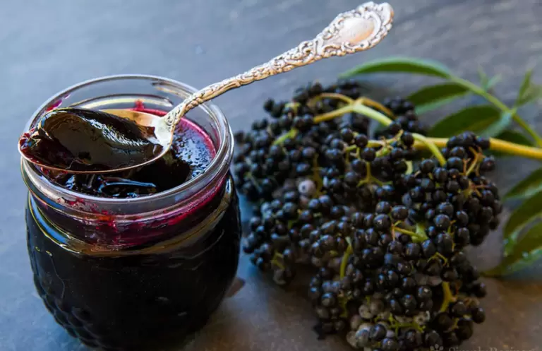 Варенье из черной бузины и яблок: графский вкус для каждого