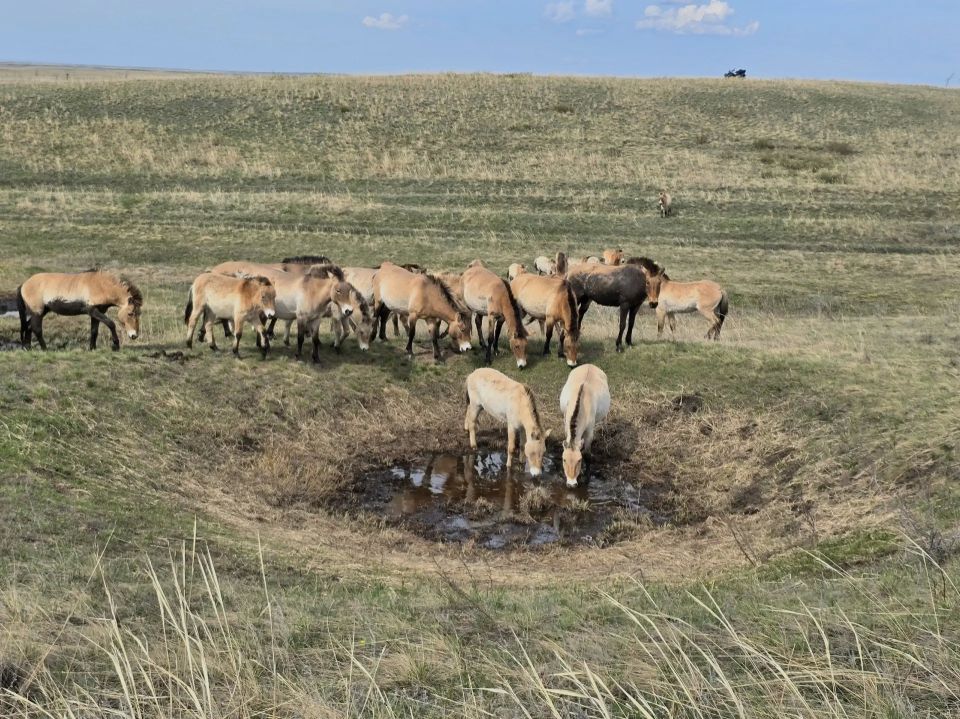 � ������ ������������� ���� ������ ������� 2026 ����