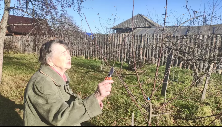 Как ухаживать за садом в июне: гайден по летним заботам