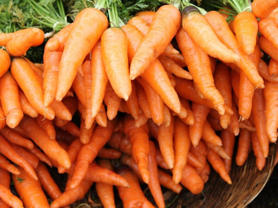 ������������ ����� ����� ��� ������� ����� ���������� ��������