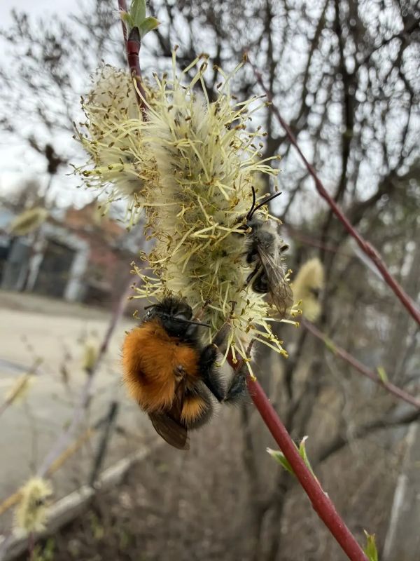 ������ ����! ������� ������ �� 15 ������