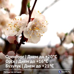 ������ ����