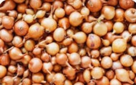 ��� ��������� ������� ��� �� �������: ������ � ������������