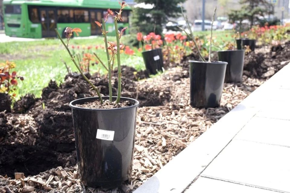 �������� ����������!. . � ������ ������������ �������� ��������������� � ����������