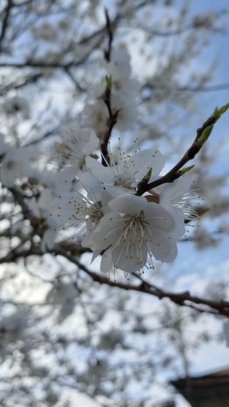 ������ ����! ������� ������ �� 16 ������