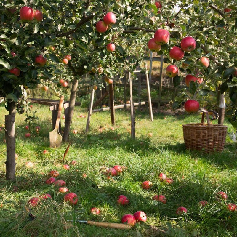 ��� ������� ������ ������ ��������� � ������� �������� ������