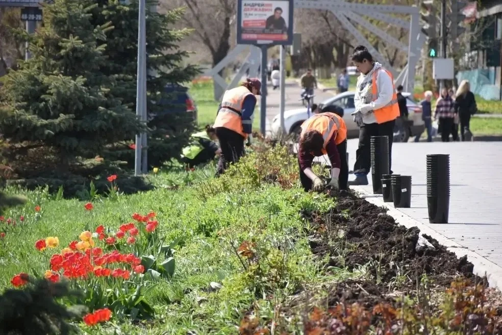В Оренбурге продолжается озеленение