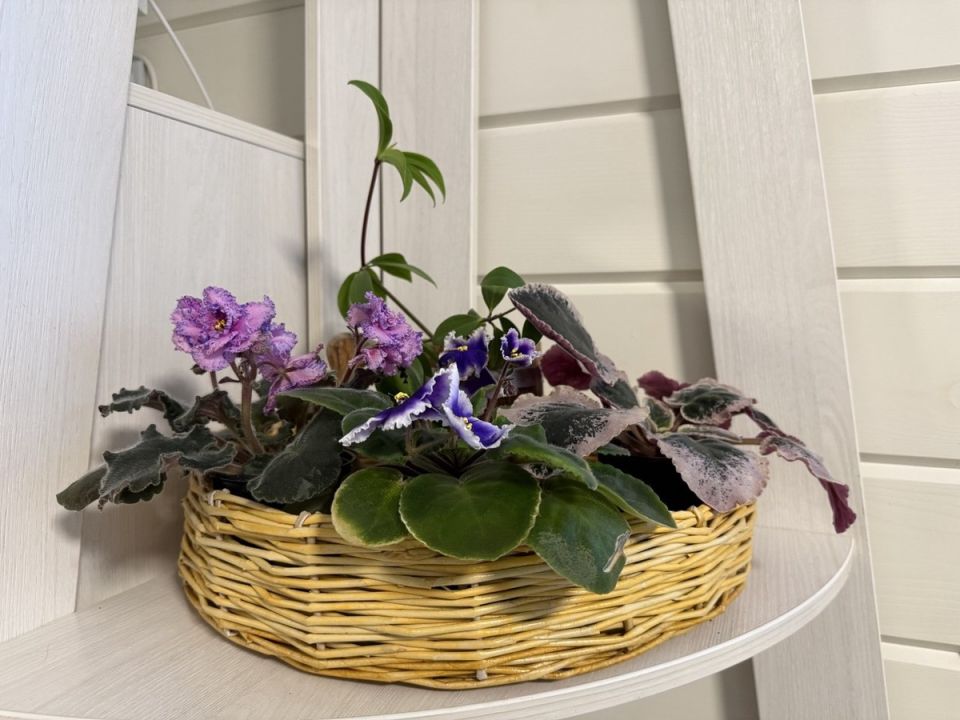 ���������� ������ � ����� ����: ����� ������ ��� ������ �����