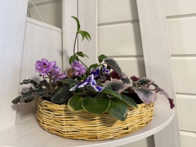 ���������� ������ � ����� ����: ����� ������ ��� ������ �����