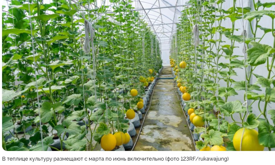 ����������� ����: ������ �� ������ � �����