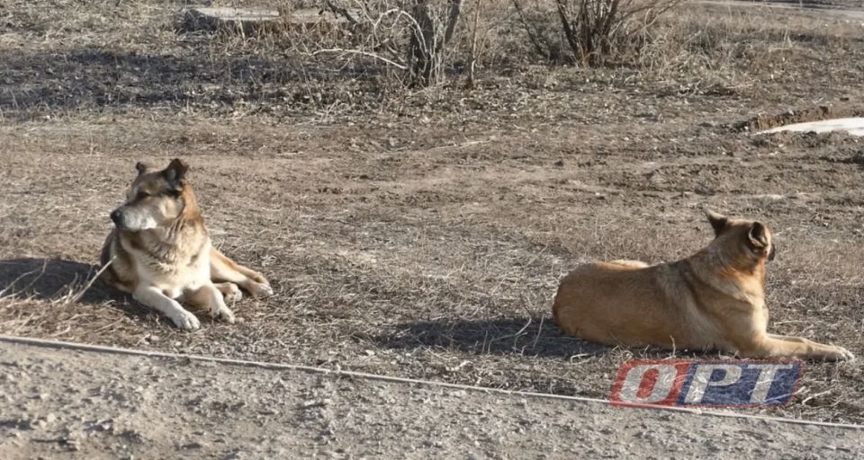 ���������� ����������� �������� � ������������� 35 ����� �� ���� ������