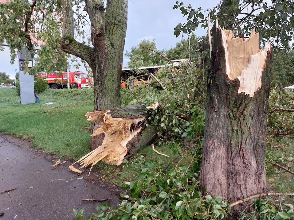 � ����� ������������� �������������� ������� ������ �� ������� ����� � ��������