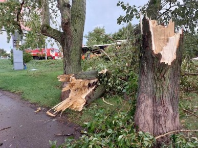 � ����� ������������� �������������� ������� ������ �� ������� ����� � ��������