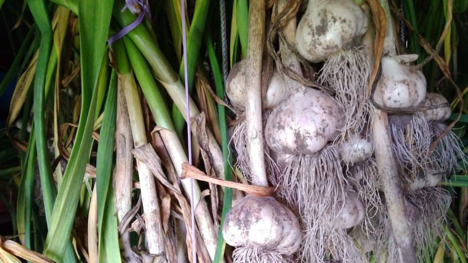 ������ ����������� �������� ������� �� ���� �����