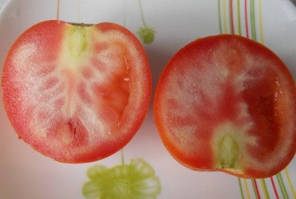 ������ ���� �������� ����� �������������� ������ ����������?