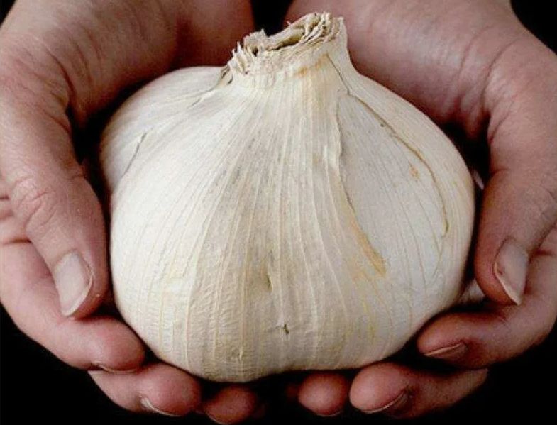 ������� �������� �������: ���� ������� ��� ������ �������