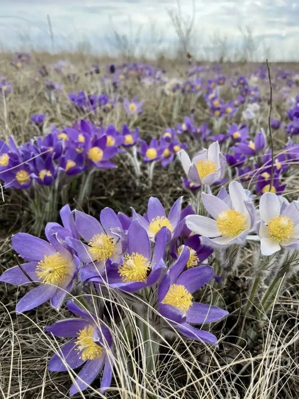 ������ ����! ������� ������ �� 17 ������