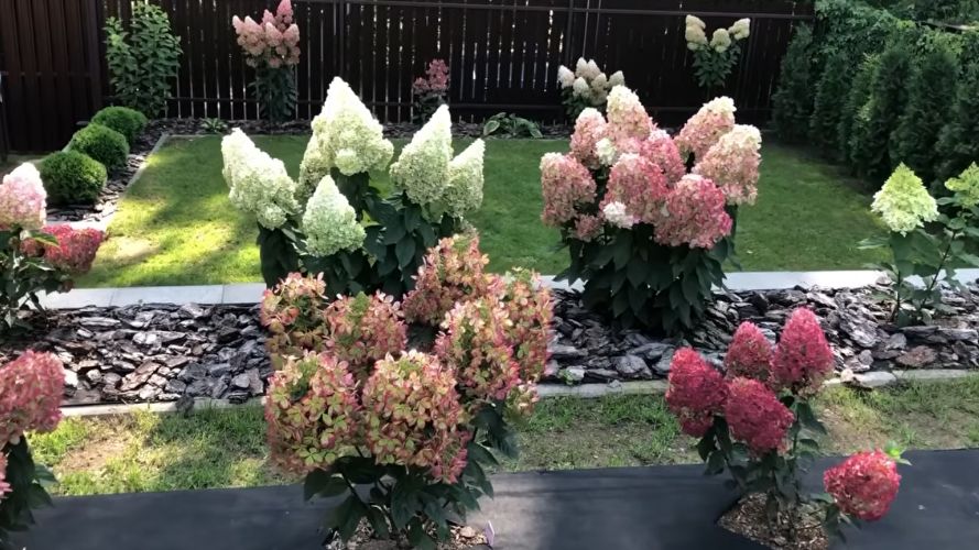 ��� ����������� ����������� ��������� � ����: 4 ������� ���� ��� ������ �������� � ��������� ������