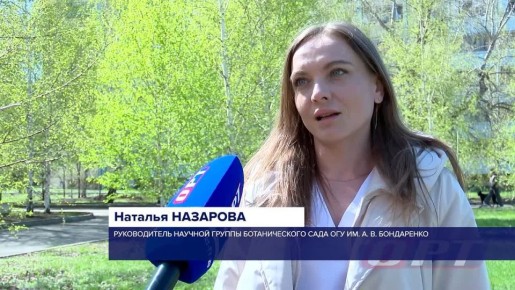 ����� ������-�� ����� ��������� �������