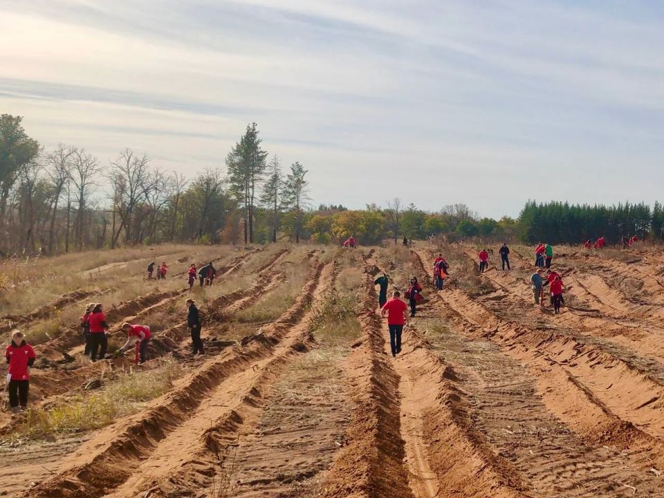 ������� �������� ������������ ��� ����� ��������������� �� 40 �� � ���