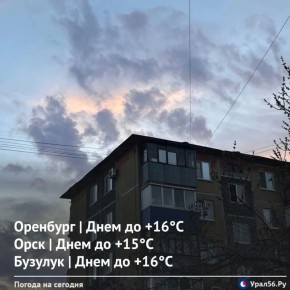 ������ ����