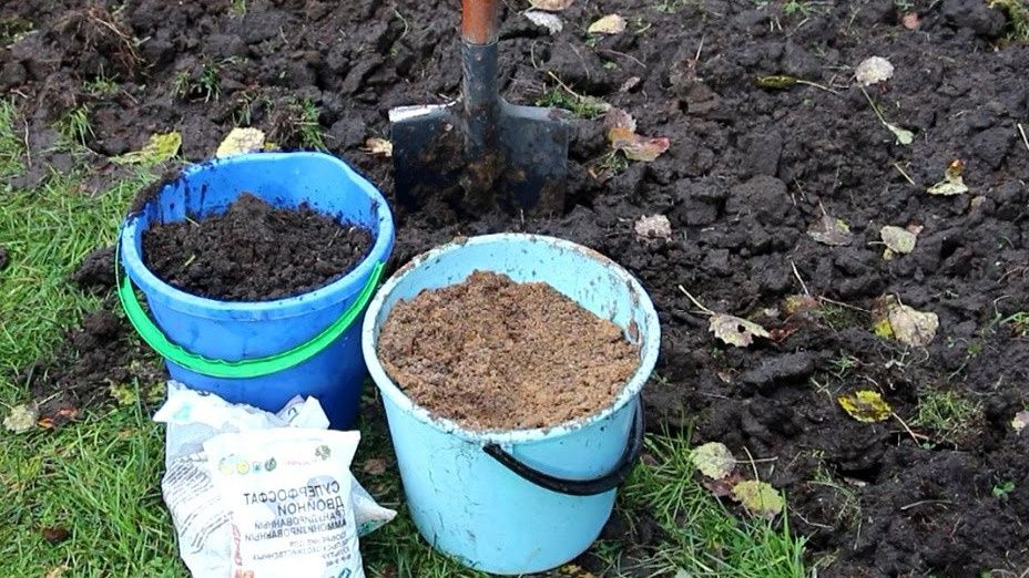 ��� ������� ��������� ����� ���������� ��� ��� � �������� �����