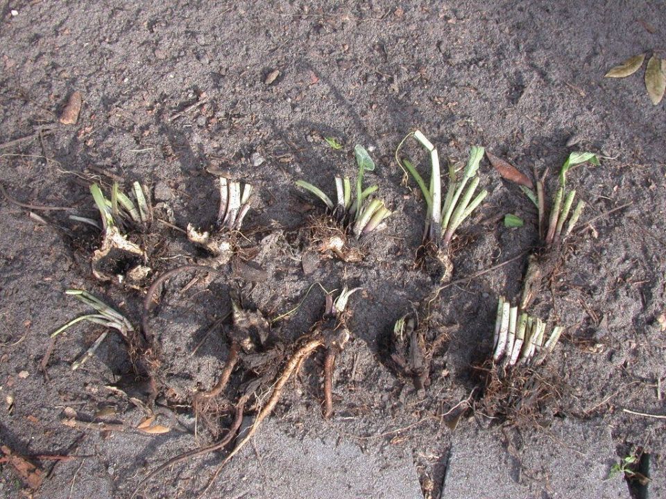 ���� � ����� ����������: ������� � ��������� �������������