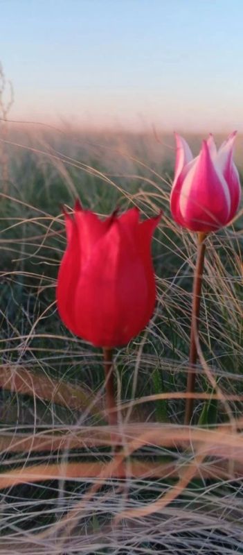 ������ ����! ������� ������ �� 18 ������