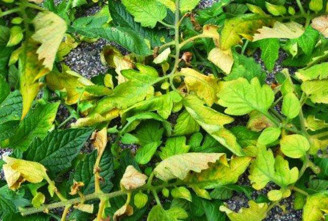 ���������� ���������� � �������: ��� ��� ������ �� �������� �������� � ��� � ���� ������