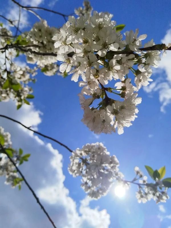 ������ ����! ������� ������ �� 19 ������